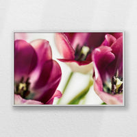 LWW120W080