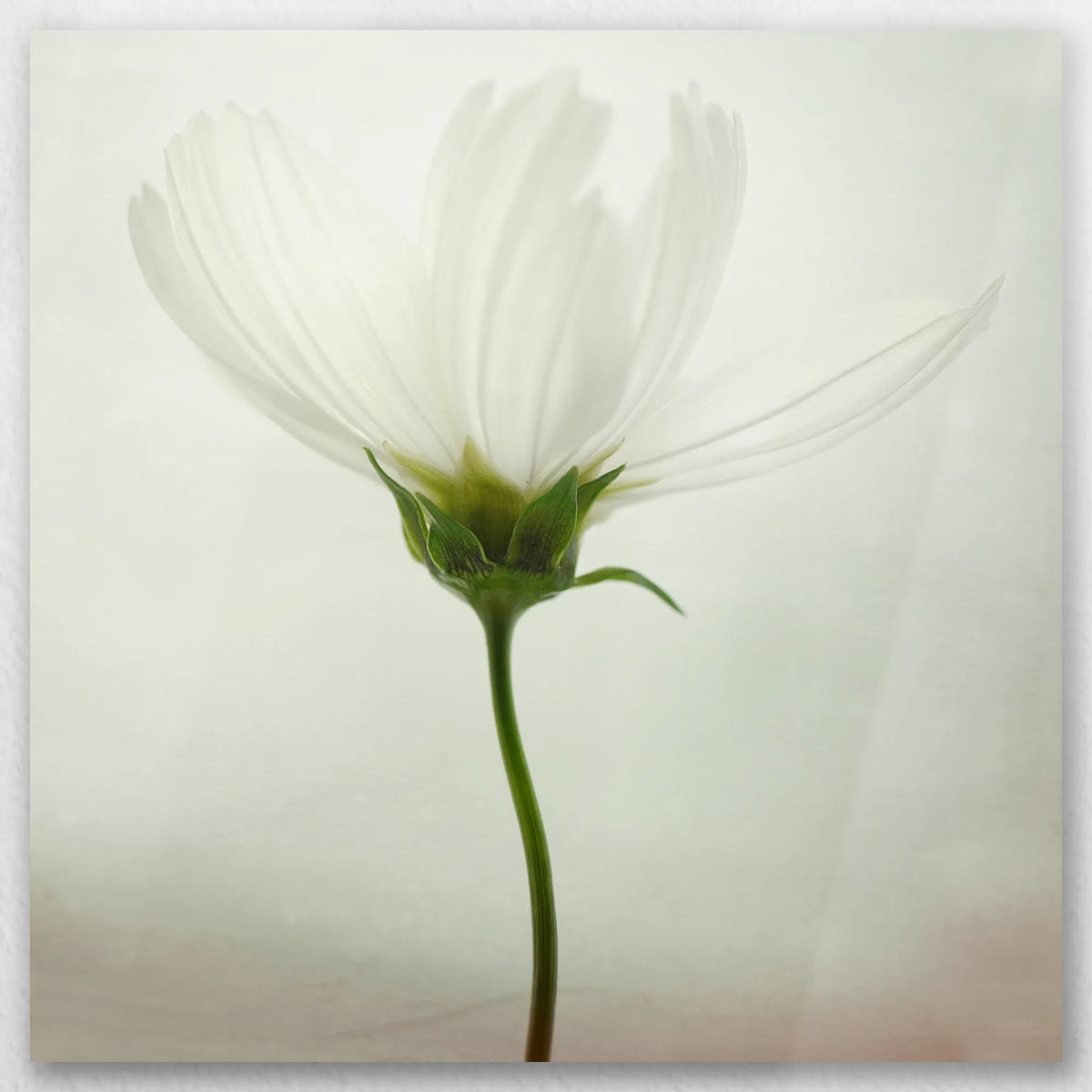 AL-030W030