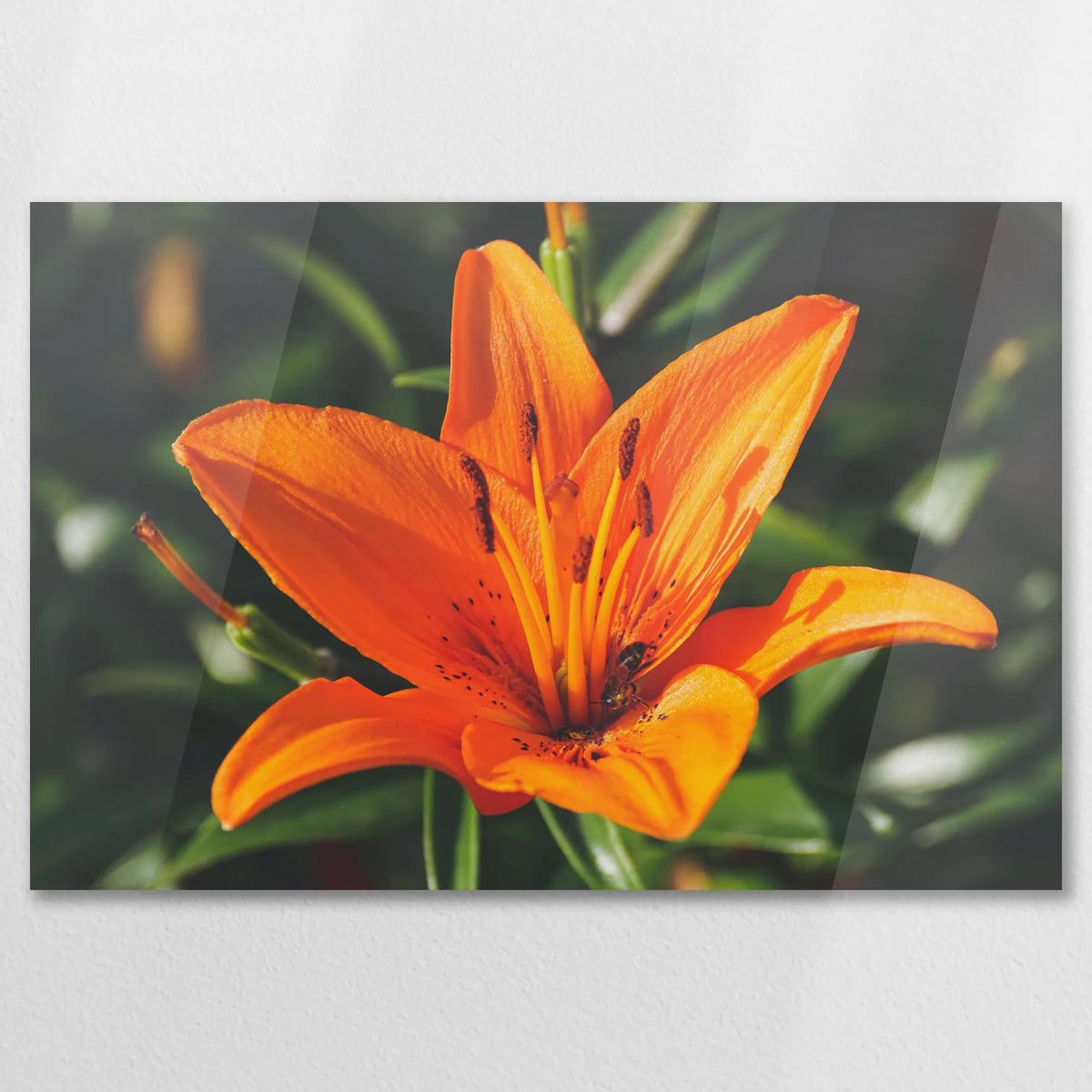 AC-090W060