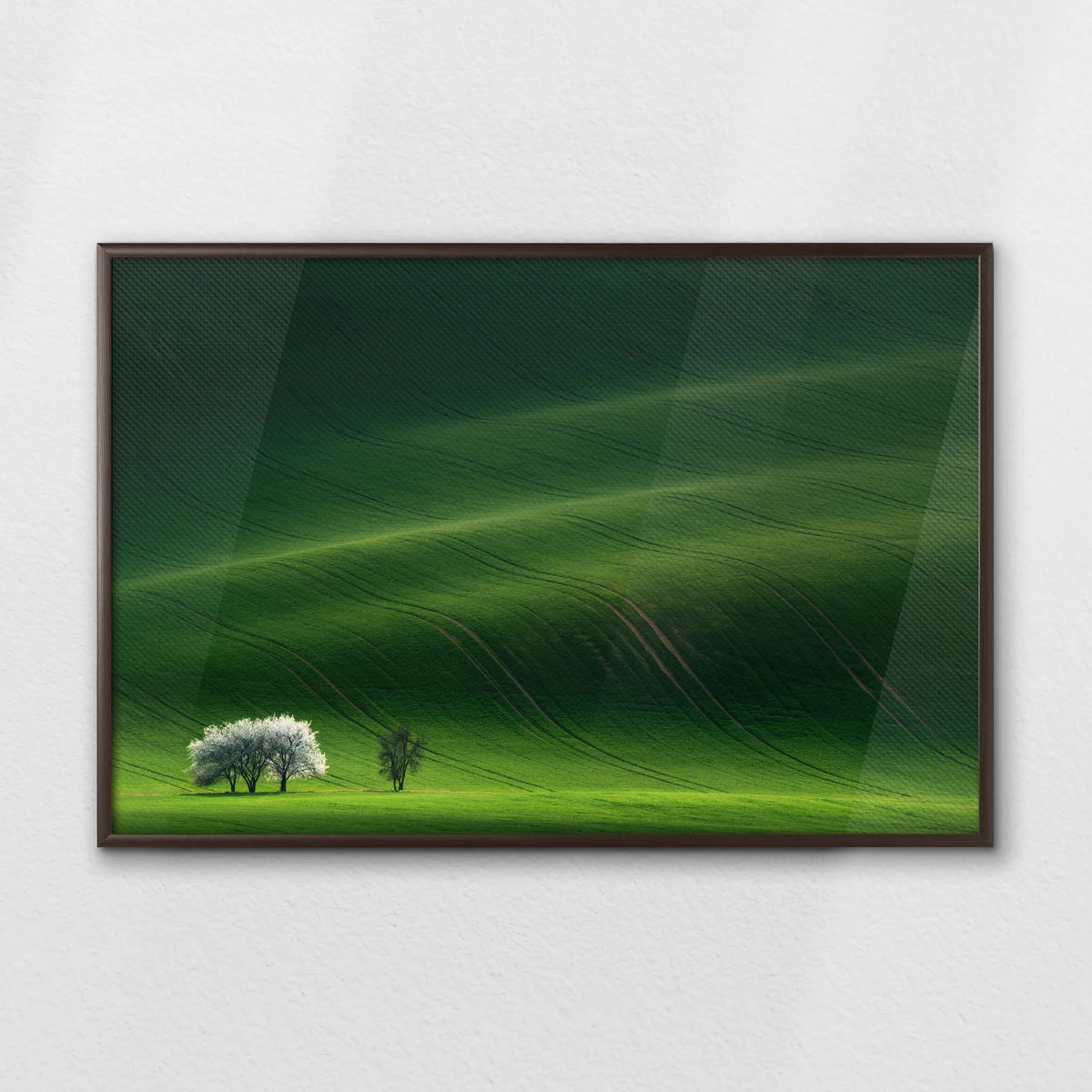 LWN100W070