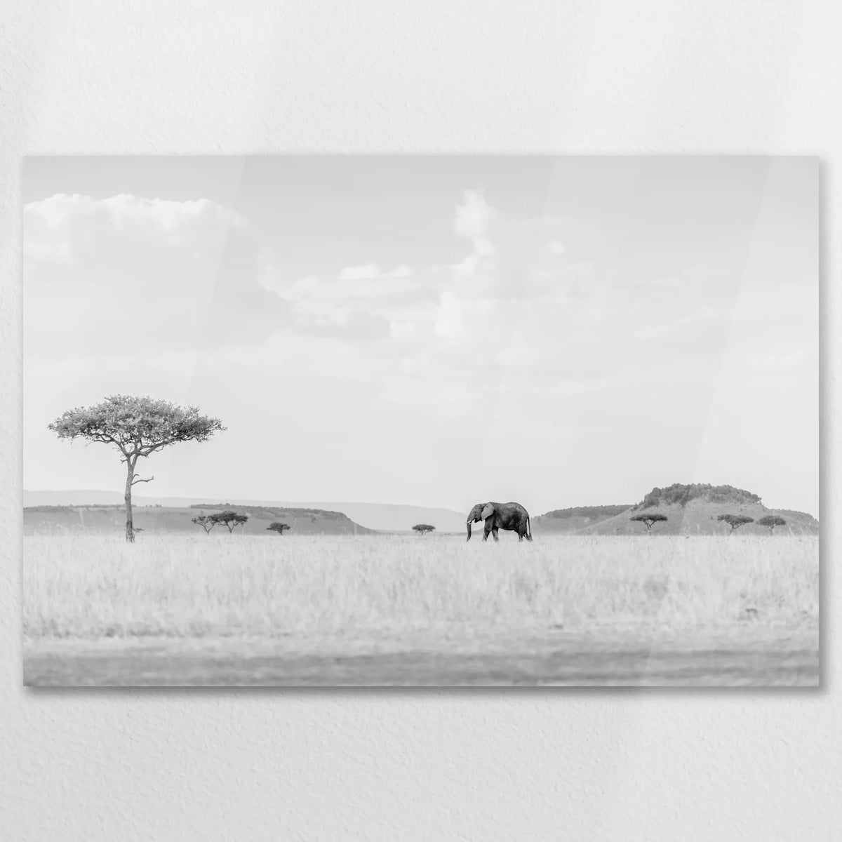 AC-075W050