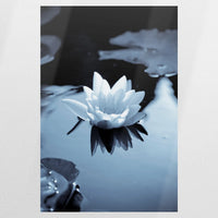PO-060W090