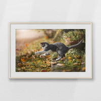 PNP100W070