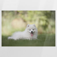 PO-075W050