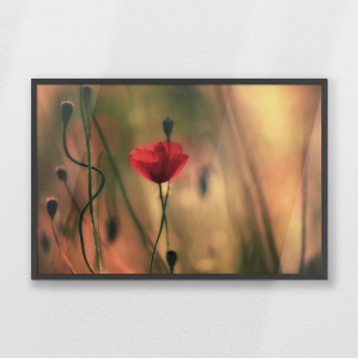 PK-093W062