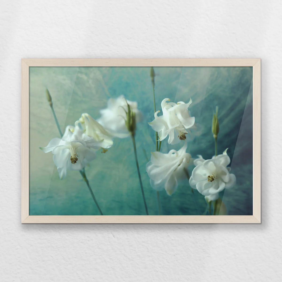 PN-060W040