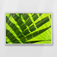 PW-093W062
