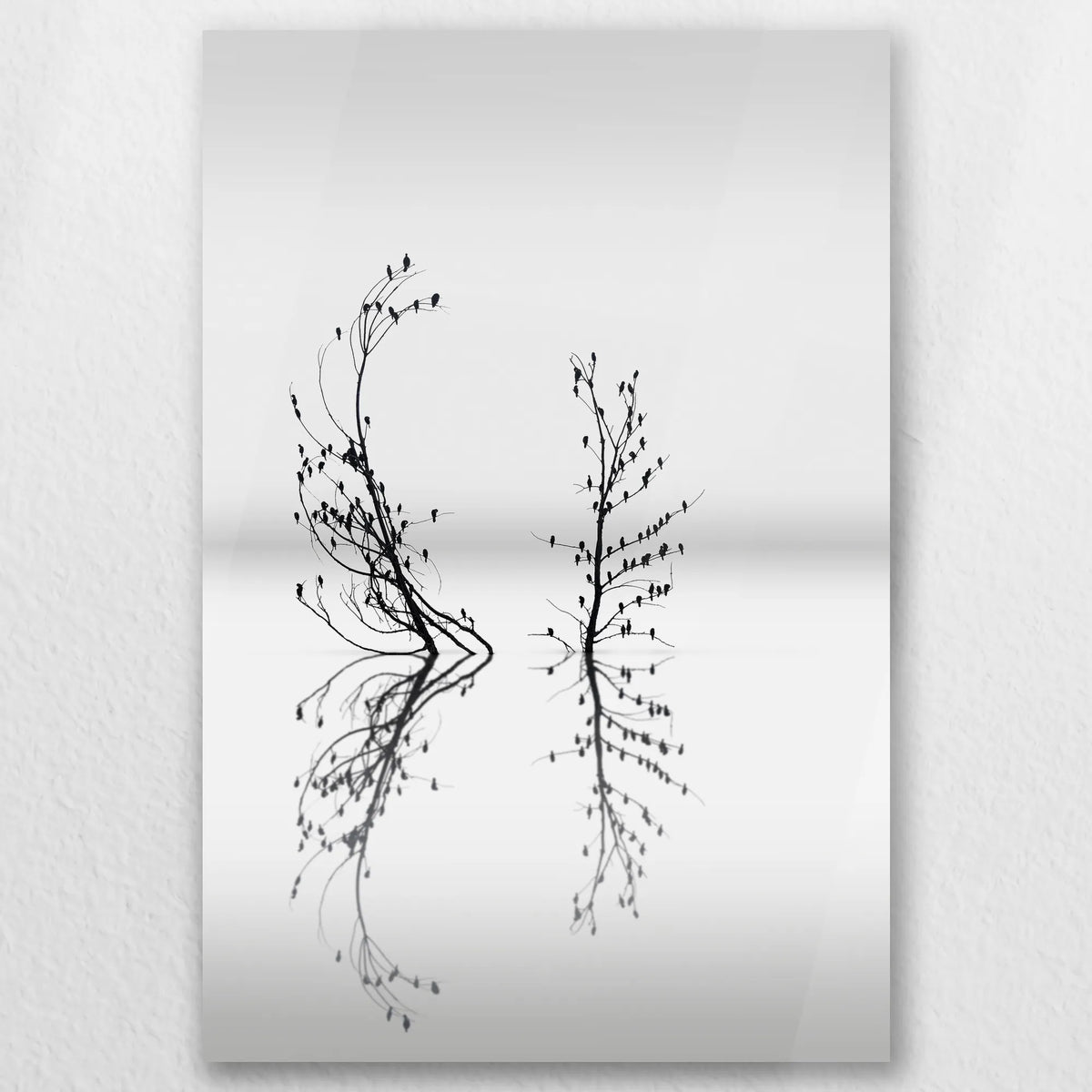 AC-050W075
