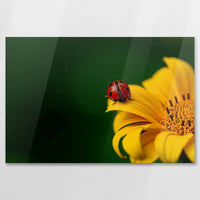 AC-075W050