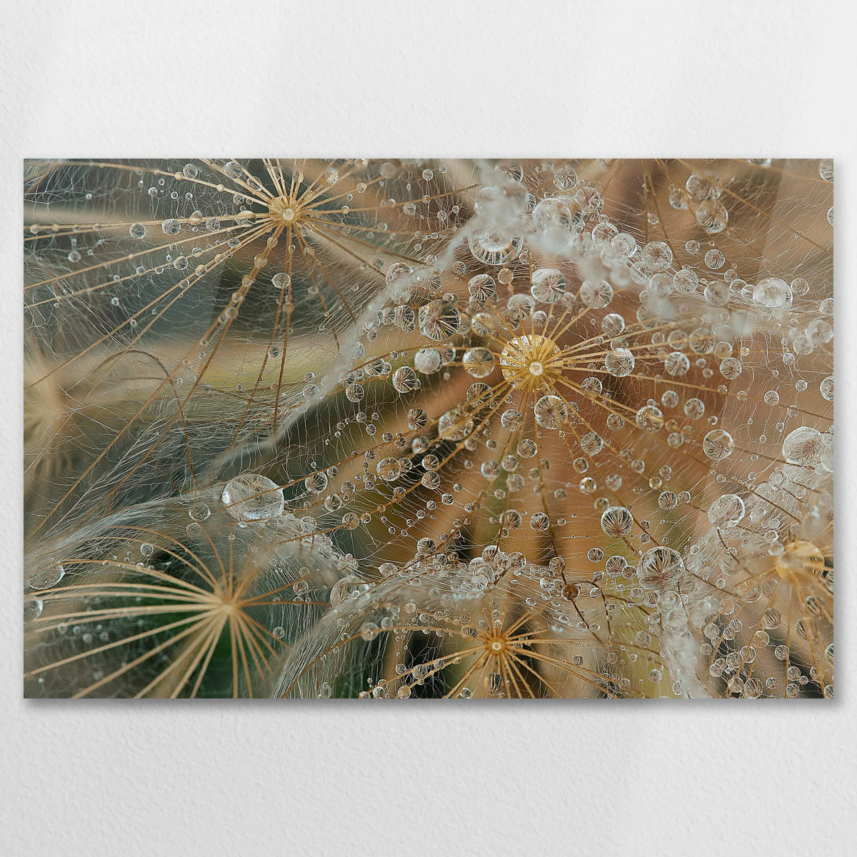 AC-075W050