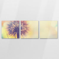 AC-150S050