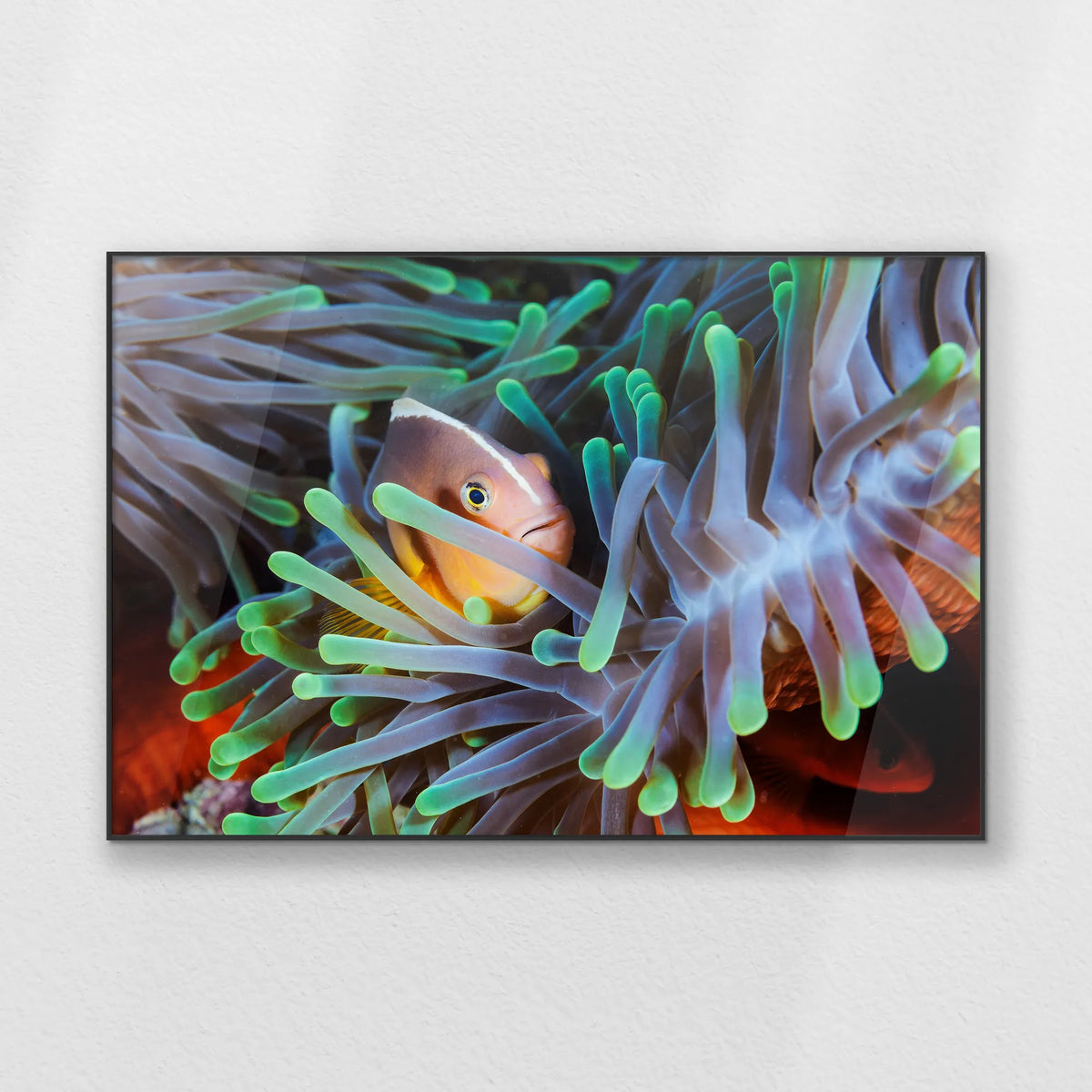 PB-120W080