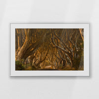 PSP120W080