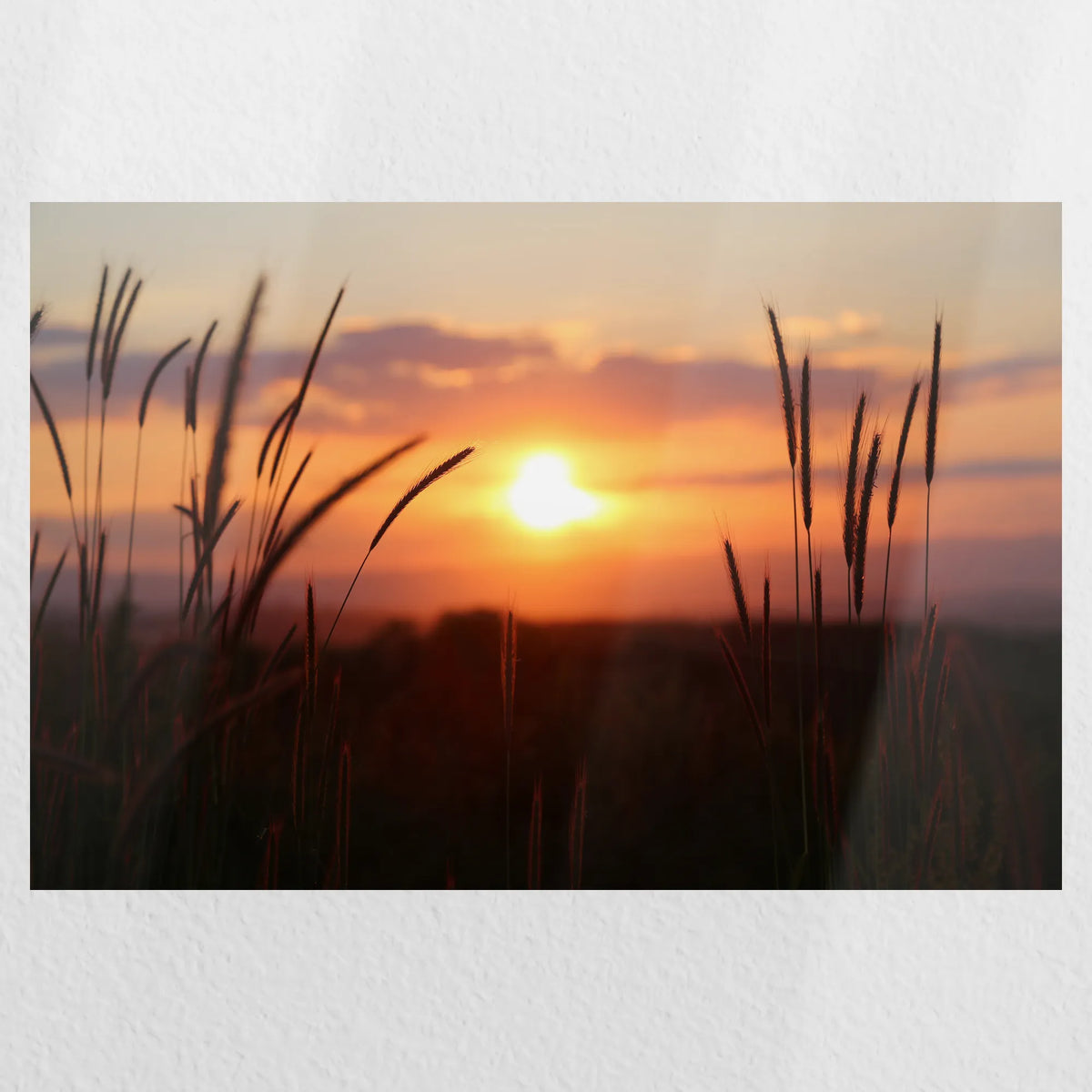 PO-030W020