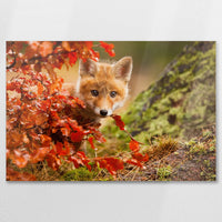 AL-090W060