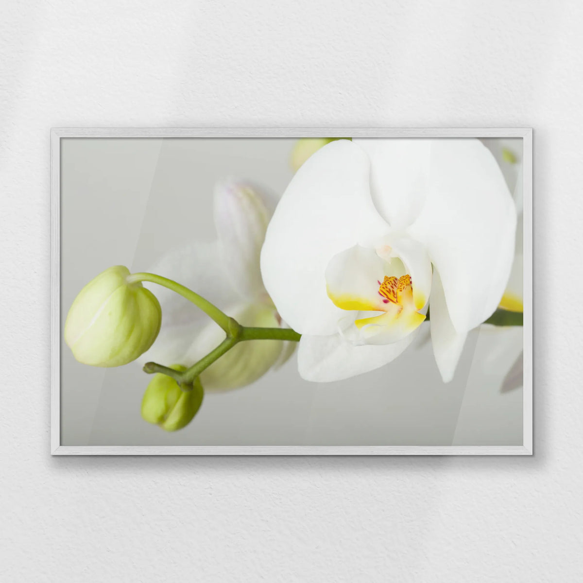 PW-093W062