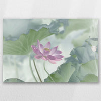 AL-030W020