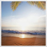 PO-030W030