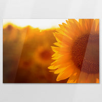AC-120W080