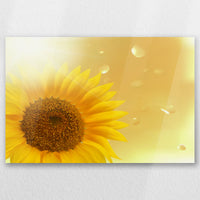 AC-060W040