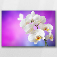 LW-045W030