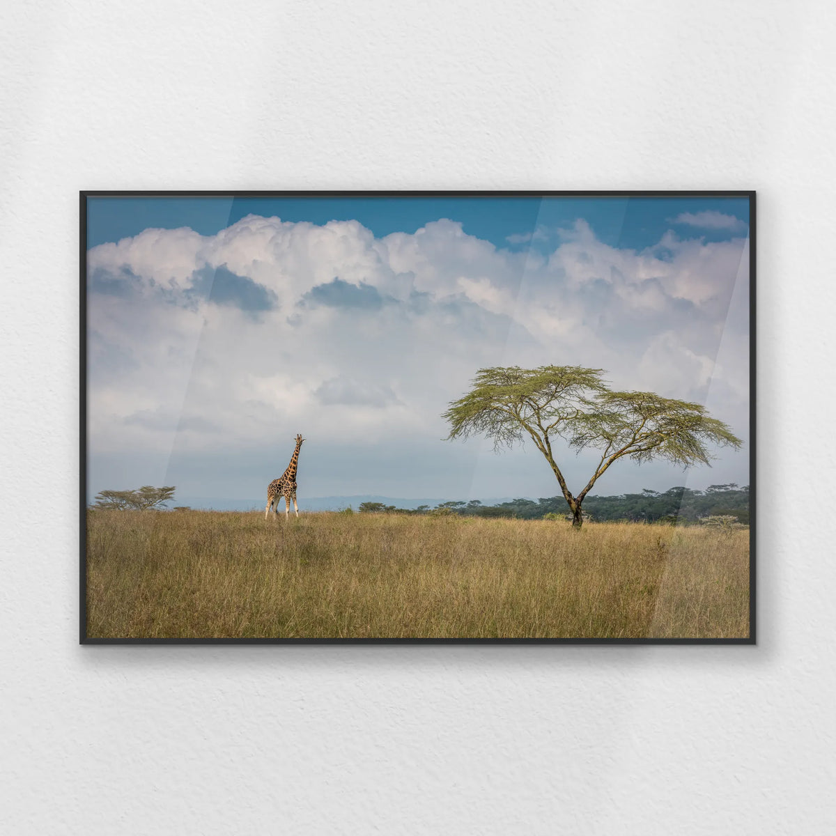 PB-093W062