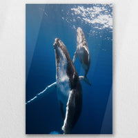 AC-040W060
