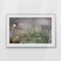 PSP120W080