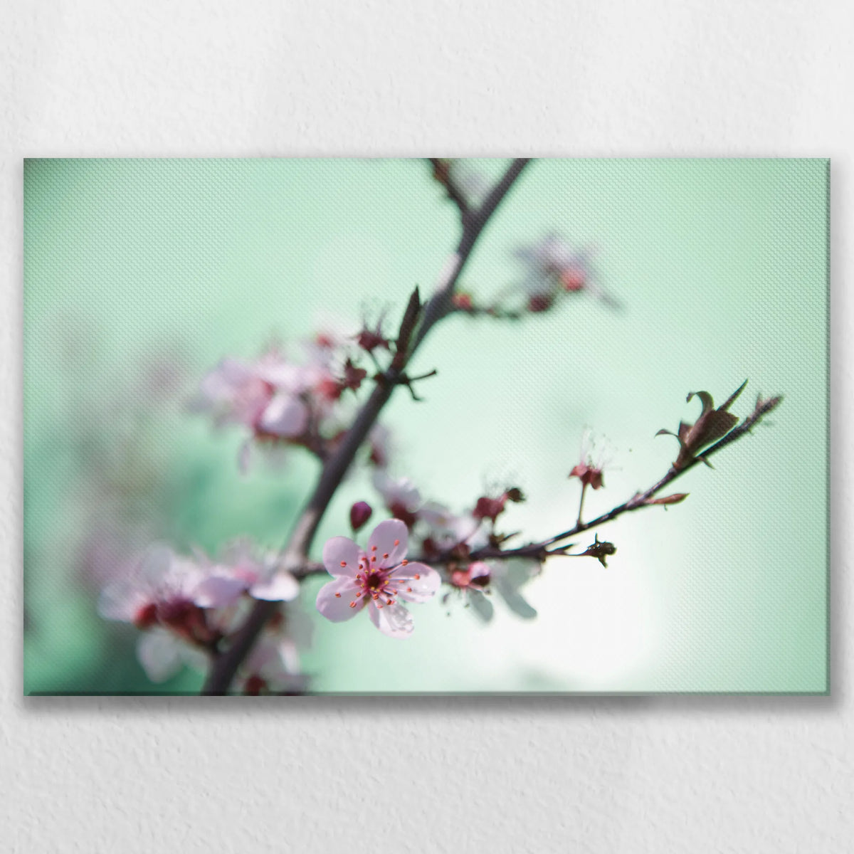 LW-075W050
