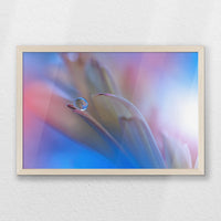 PN-060W040