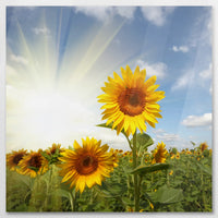 AC-080W080
