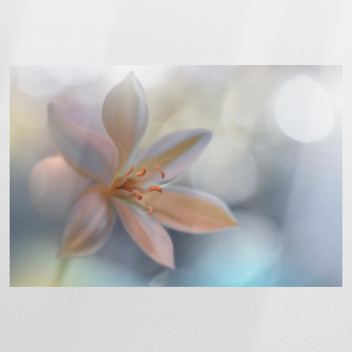 PO-090W060