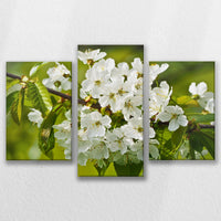 LW-090T060