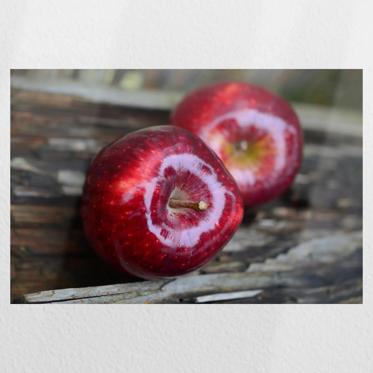PO-045W030