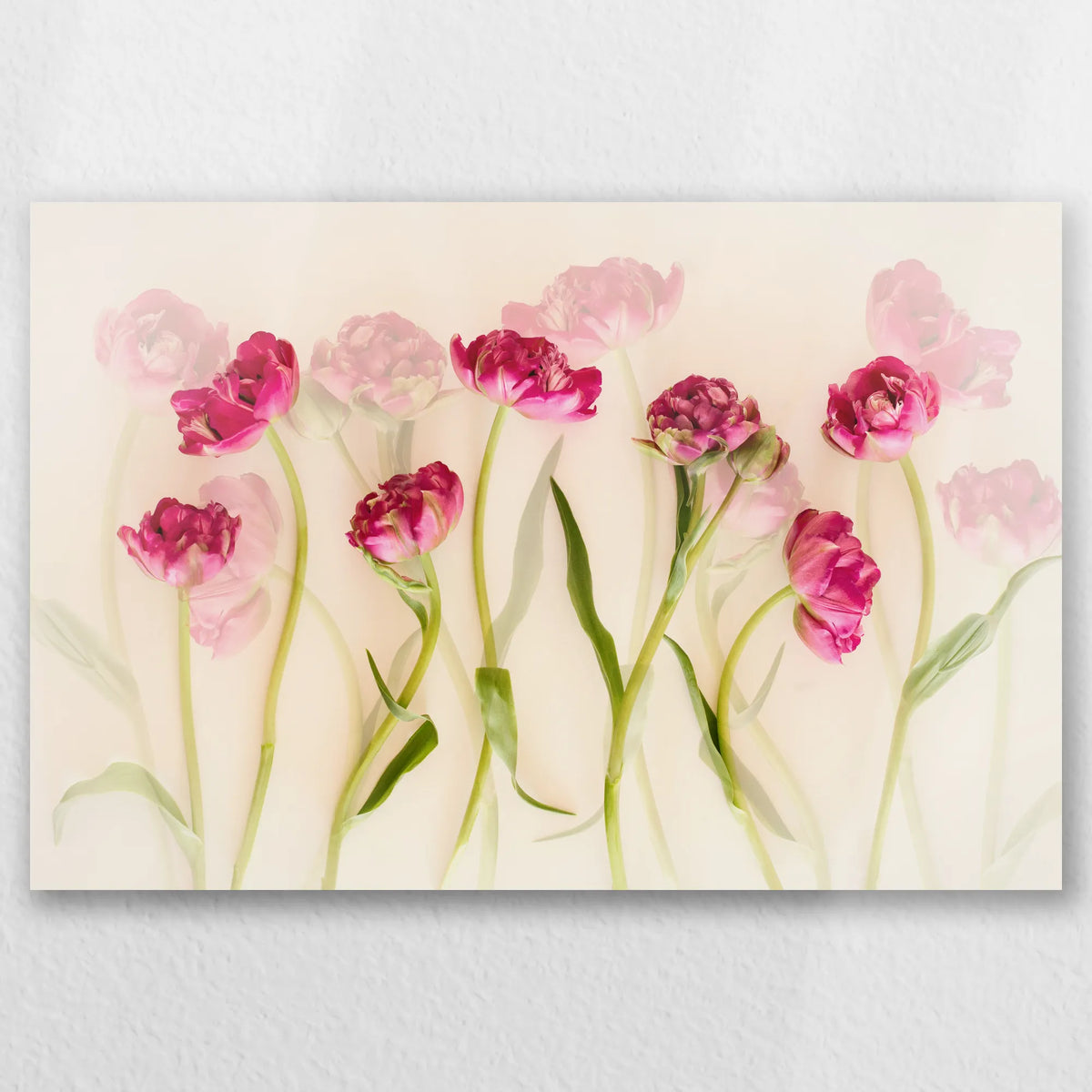 AL-045W030