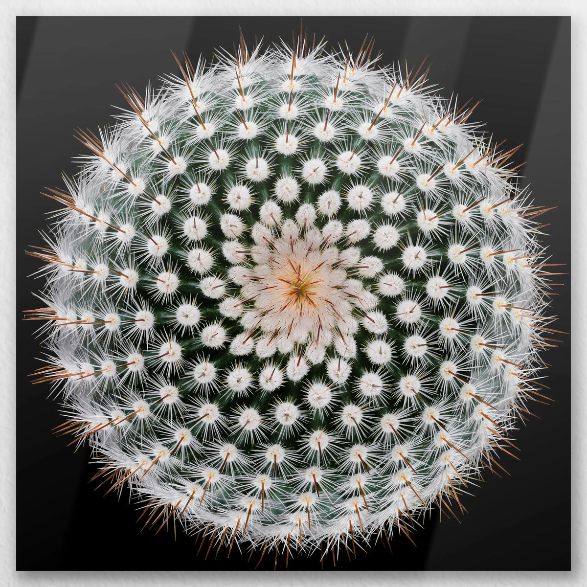 AL-060W060