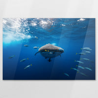 AC-120W080