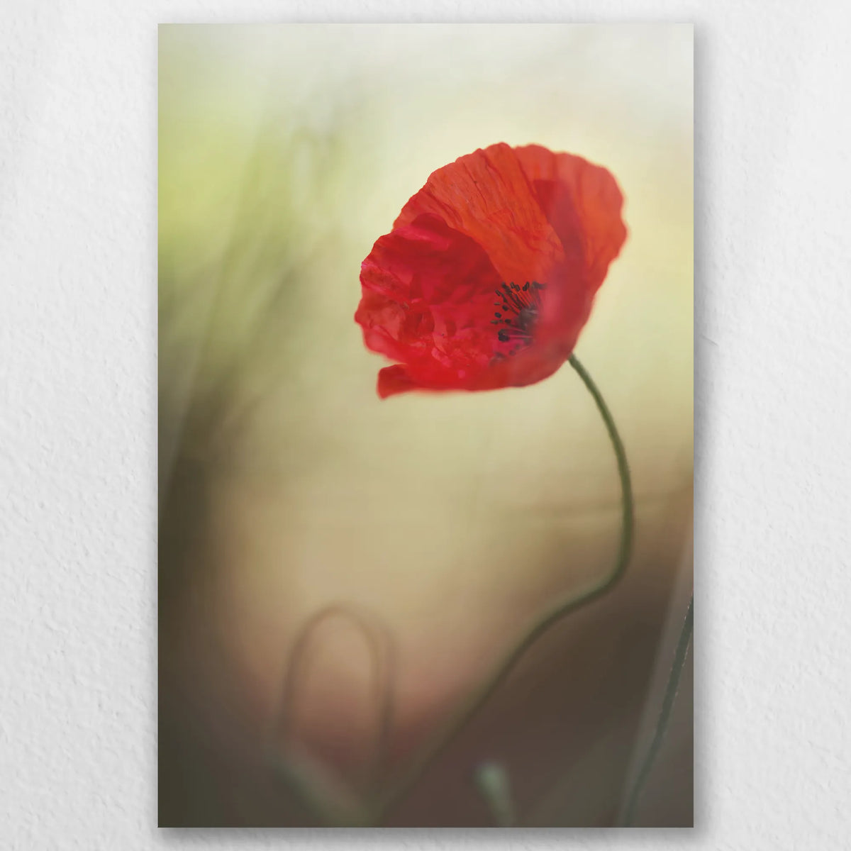 AL-050W075