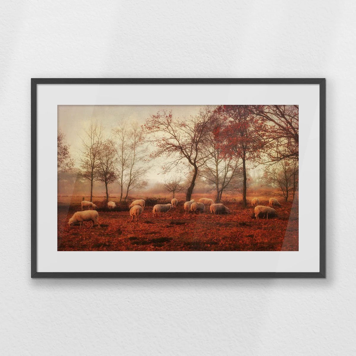 PKP093W062