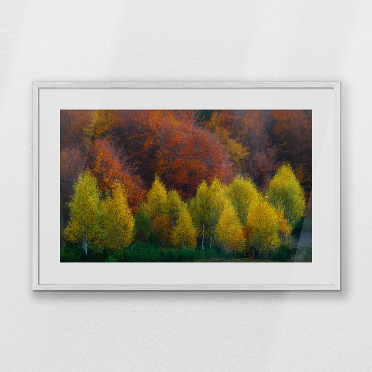 PWP093W062