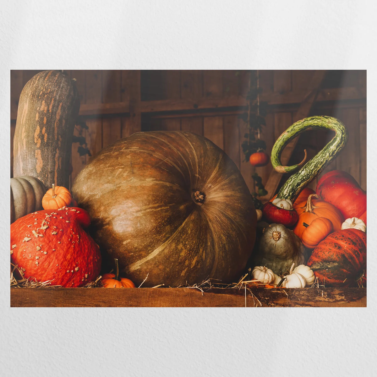 PO-075W050