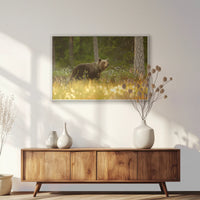 PS-093W062