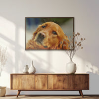 LWN100W070