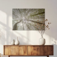 AC-075W050
