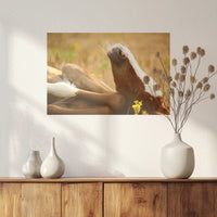 PO-060W040
