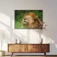 LWN120W080