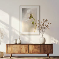 PNP070W100