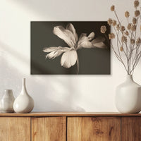 AC-030W020