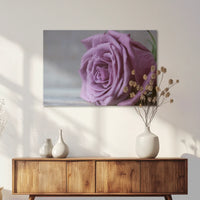 AC-075W050