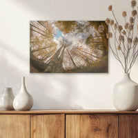 AL-030W020